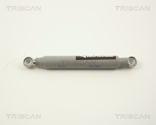 Gasfjäder från TRISCAN
