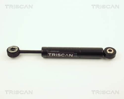 Vibrationsdämpare från TRISCAN