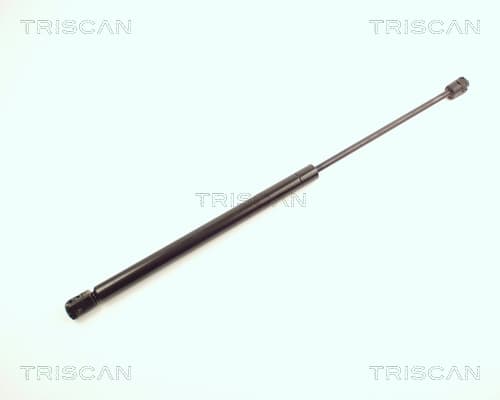 Gasfjäder bak från TRISCAN