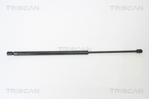 Gasfjäder bak från TRISCAN