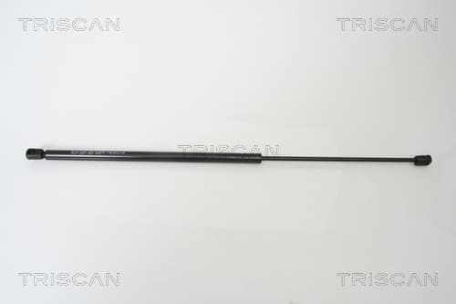 Gasfjäder bak från TRISCAN