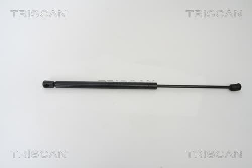 Gasfjäder bak från TRISCAN