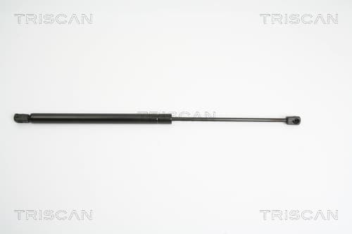 Gasfjäder bak från TRISCAN