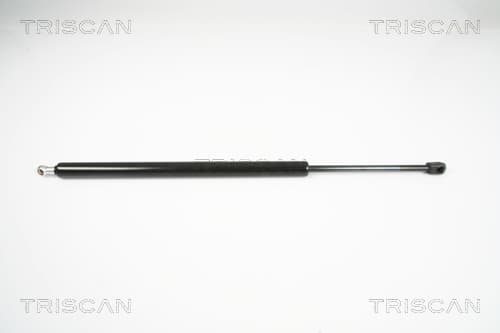 Gasfjäder bak från TRISCAN