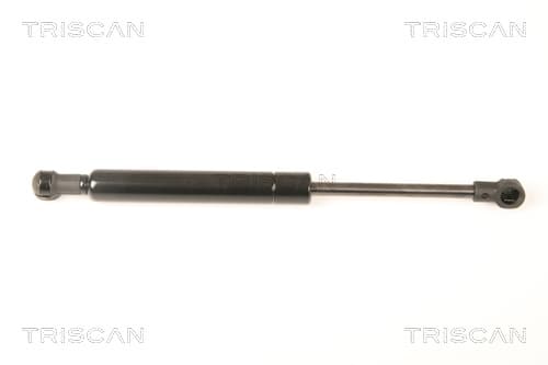 Gasfjäder bak från TRISCAN
