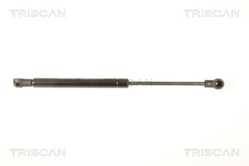 Gasfjäder bak från TRISCAN