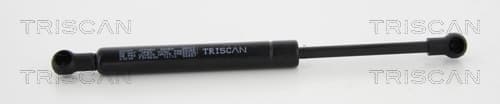Gasfjäder bak från TRISCAN