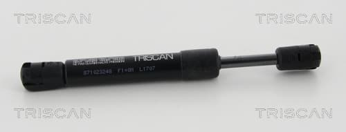 Gasfjäder bak från TRISCAN