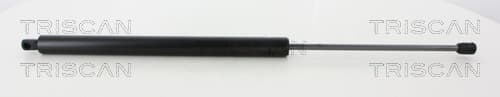 Gasfjäder bakrude från TRISCAN