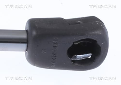 Gasfjäder bagageutrymme från TRISCAN - bild 3