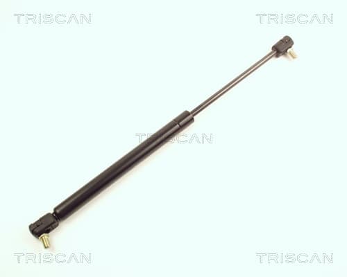Gasfjäder bak från TRISCAN