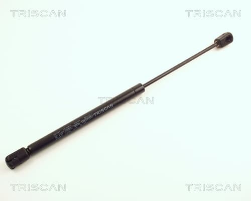 Gasfjäder bak från TRISCAN