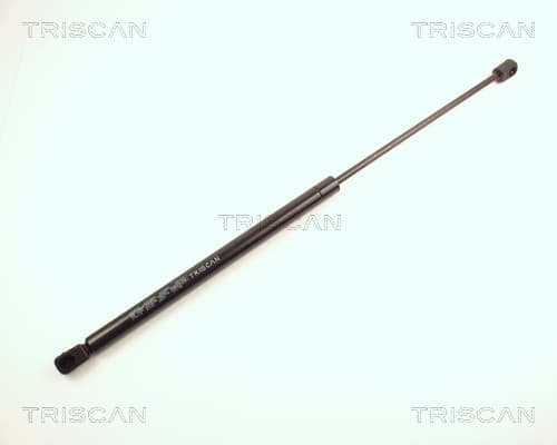Gasfjäder bak från TRISCAN