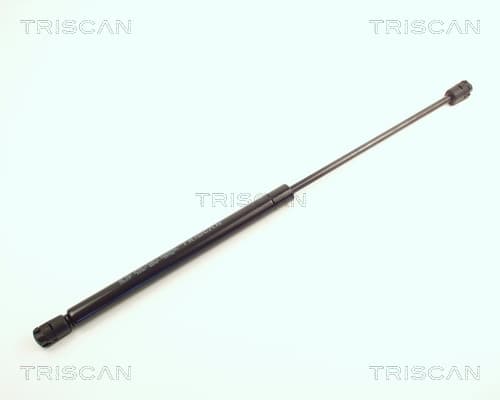 Gasfjäder bak från TRISCAN