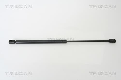 Gasfjäder bak från TRISCAN