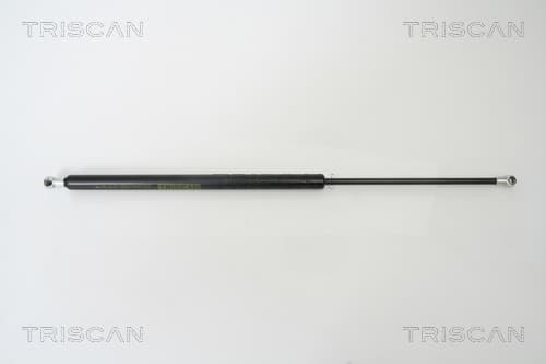 Gasfjäder bak från TRISCAN