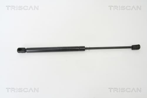 Gasfjäder bak från TRISCAN