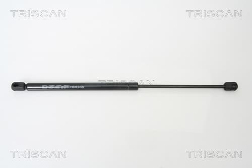 Gasfjäder bak från TRISCAN