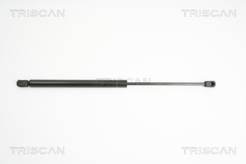 Gasfjäder bak från TRISCAN