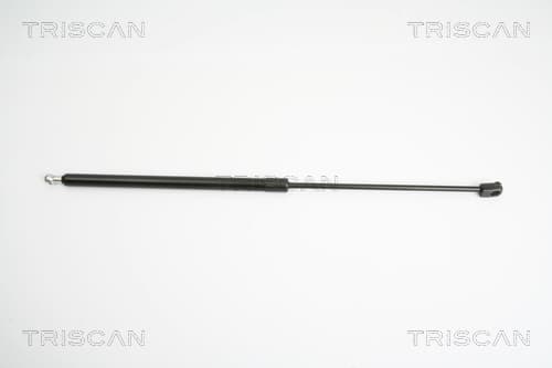 Gasfjäder bak från TRISCAN