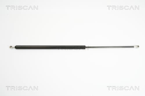 Gasfjäder bak från TRISCAN