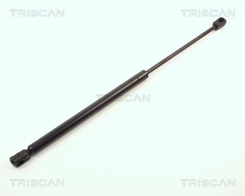Gasfjäder bak från TRISCAN