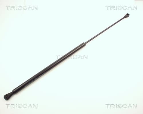 Gasfjäder bak från TRISCAN
