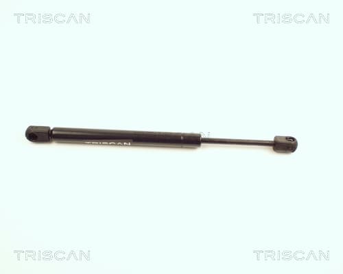 Gasfjäder bak från TRISCAN