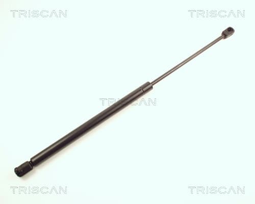 Gasfjäder bak från TRISCAN