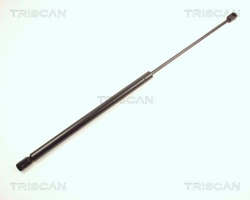 Gasfjäder bak från TRISCAN