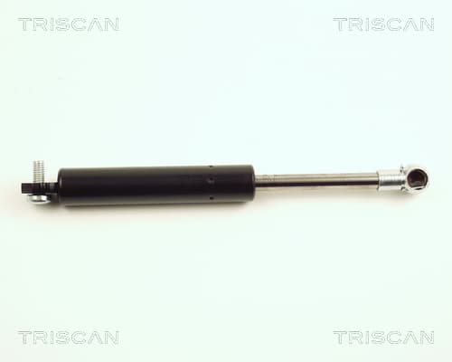 Gasfjäder bak från TRISCAN