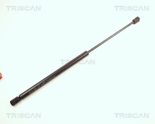 Gasfjäder bak från TRISCAN