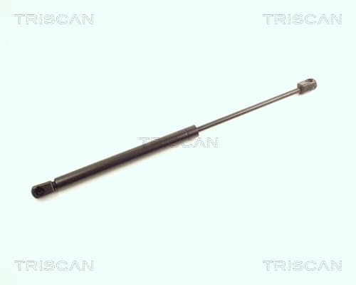 Gasfjäder bak från TRISCAN