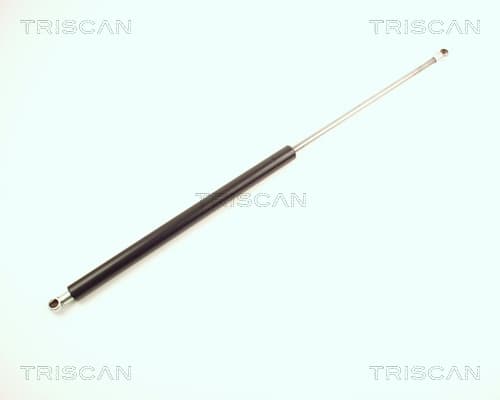 Gasfjäder bak från TRISCAN