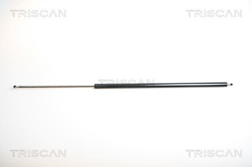 Gasfjäder bak från TRISCAN