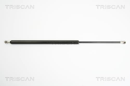 Gasfjäder bak från TRISCAN