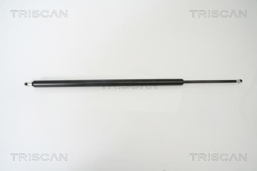 Gasfjäder bak från TRISCAN