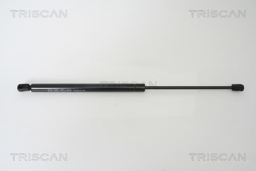 Gasfjäder bak från TRISCAN