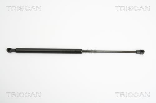 Gasfjäder bak från TRISCAN