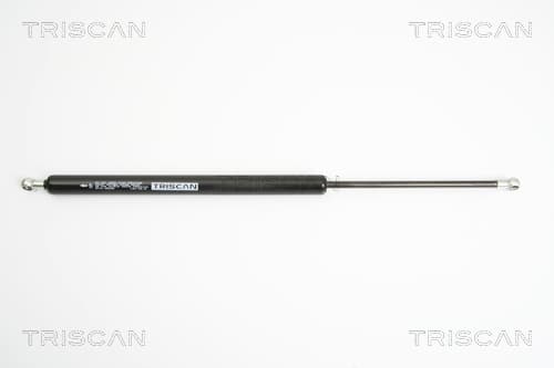 Gasfjäder bak från TRISCAN