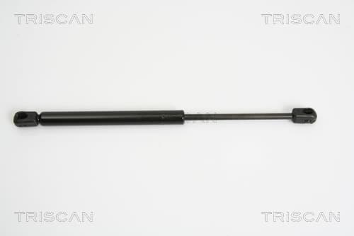 Gasfjäder bak från TRISCAN