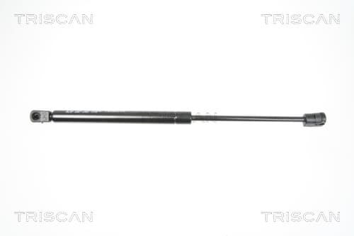 Gasfjäder bak från TRISCAN