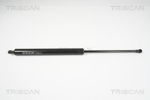 Gasfjäder bak från TRISCAN