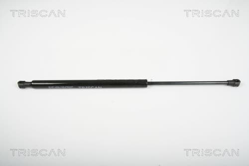 Gasfjäder bakrude från TRISCAN