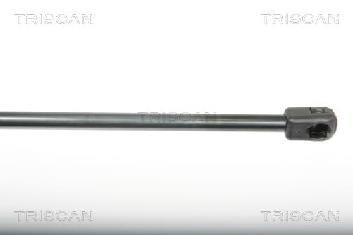 Gasfjäder bak från TRISCAN