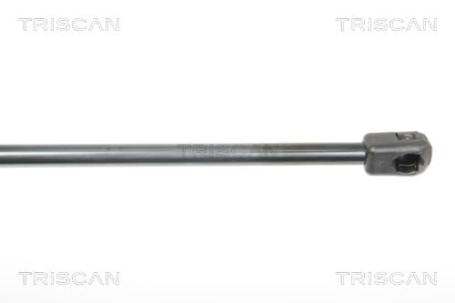 Gasfjäder bak från TRISCAN
