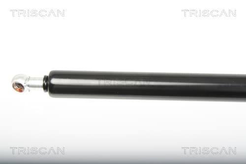 Gasfjäder bak från TRISCAN