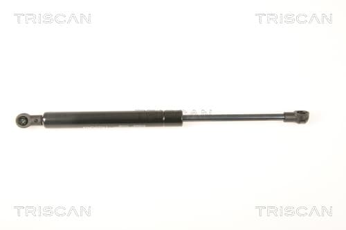 Gasfjäder bak från TRISCAN