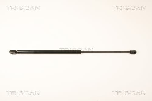 Gasfjäder bak från TRISCAN