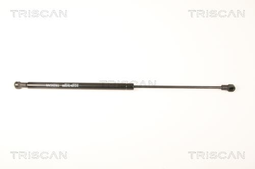 Gasfjäder bakrude från TRISCAN